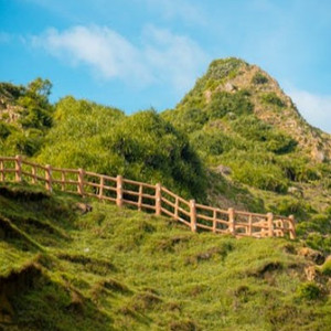 午夜福利观看视频1
